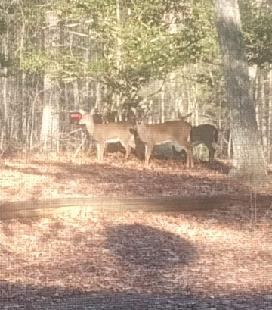 Leanneoctavia46363528