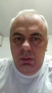 palomino670 palomino670