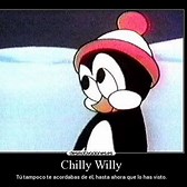 chillywilly.jpg